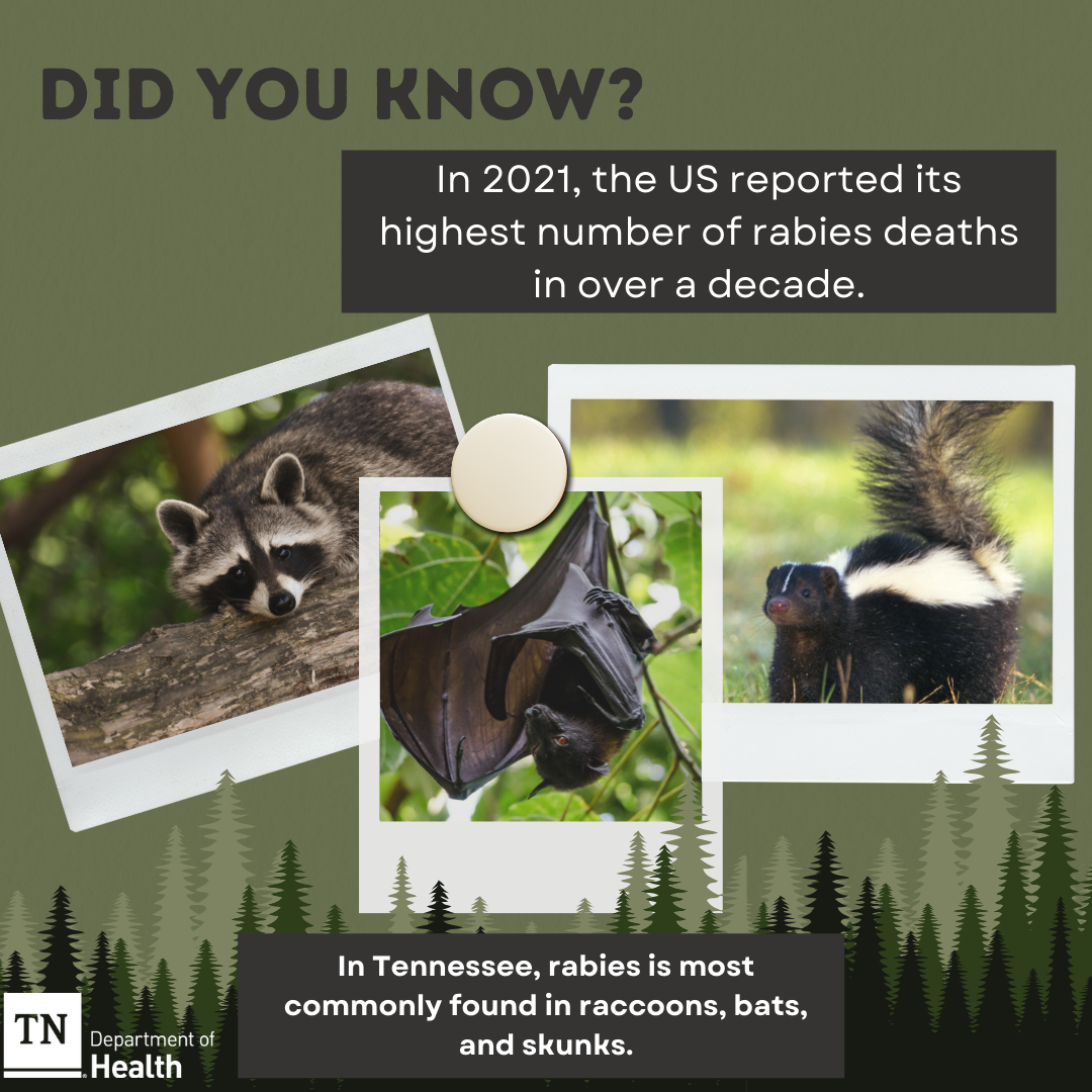 Rabies 2022