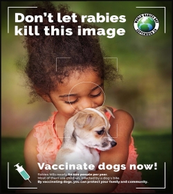 Rabies poster 