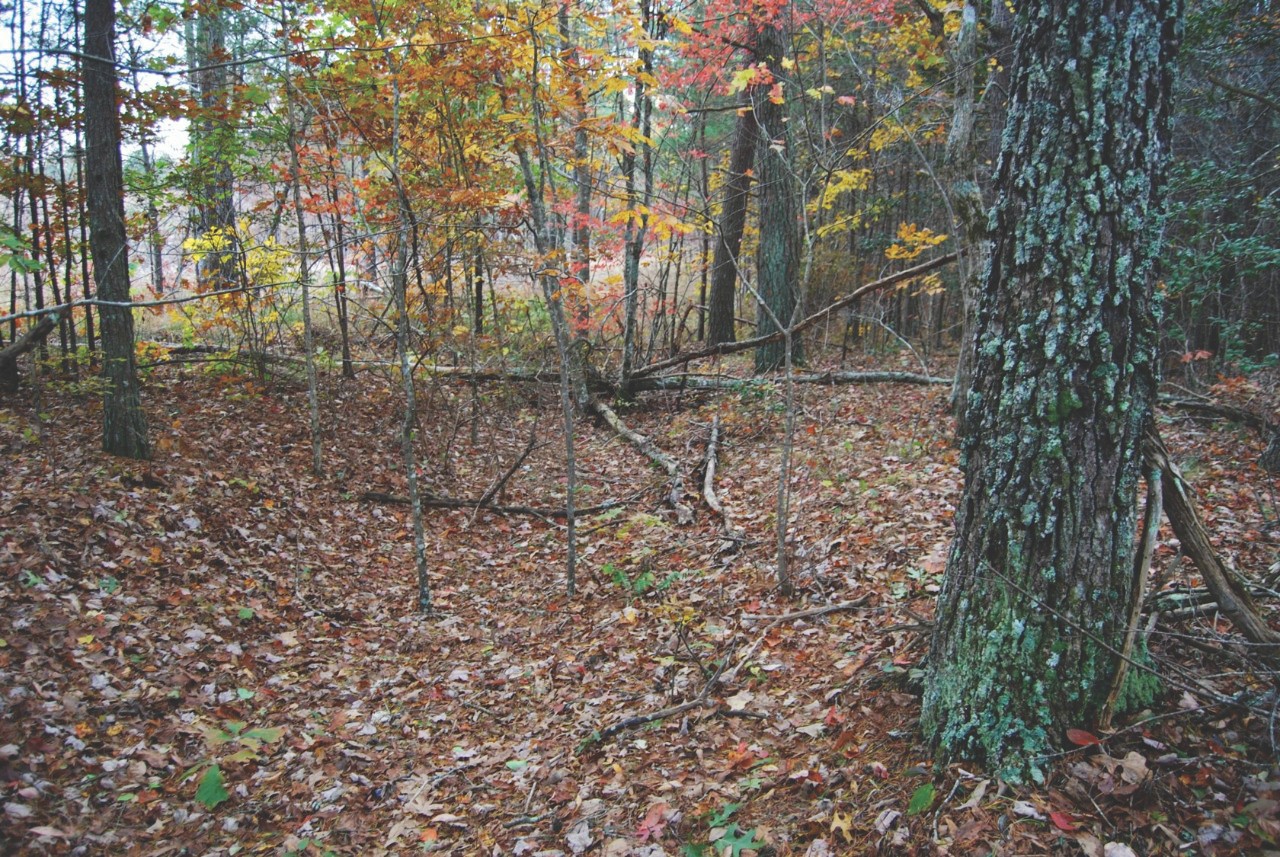 HigginbothamPike HigginbothamPike