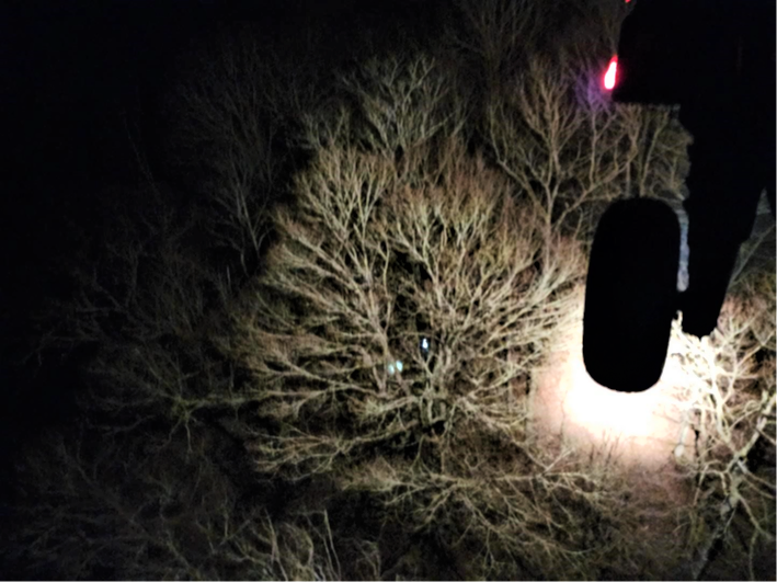 A Tennessee Army National Guard Blackhawk helicopter locates the fire and strobe light signals set by park rangers with the Great Smoky Mountain National Park during the rescue of a hiker near the Silers Bald Shelter along the Appalachian Trail in the early morning of April 5. (Submitted photo)