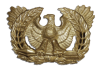 warrant_officer_no_bckrd