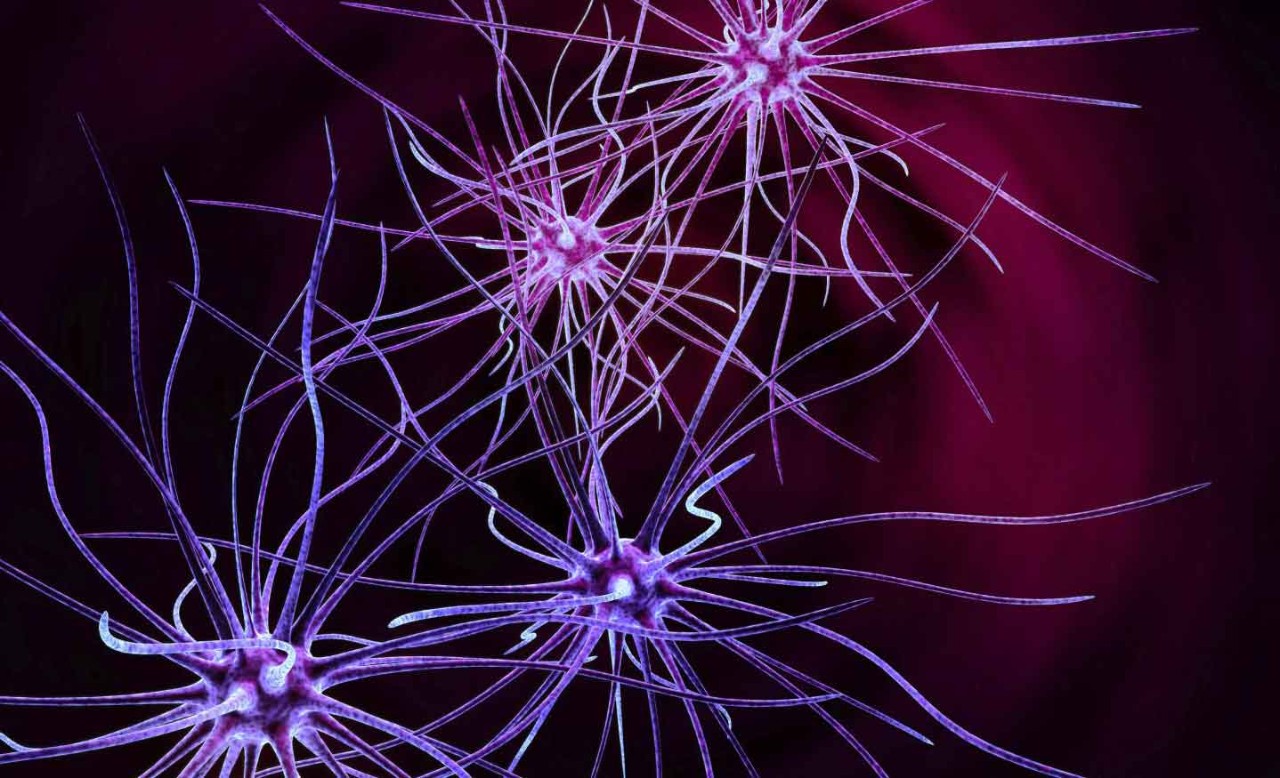 Brain Cell Networks pink cells against red background 