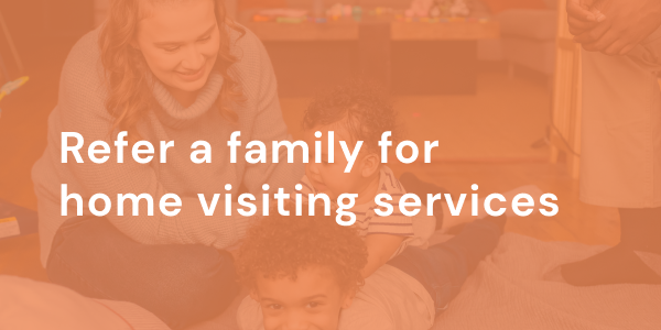 Home visiting services