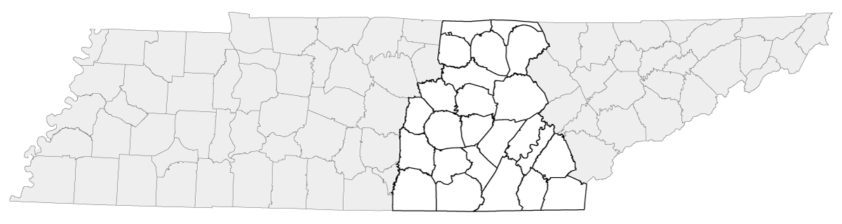 region-2