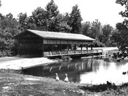 Bridge at David Crockett State Park
