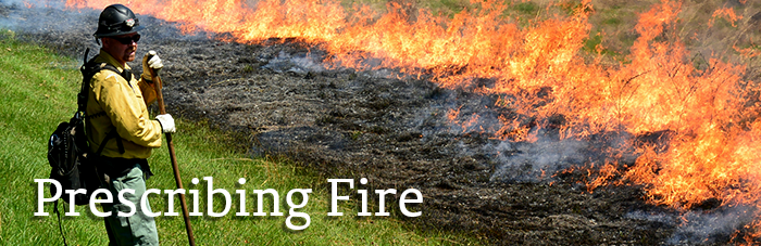 Prescibing Fire Firefighter monitoring prescribed burn