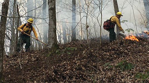 Fighting Fire in Carter Co. Fighting Fire in Carter Co.