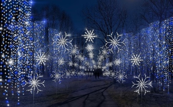 Christmas Lights