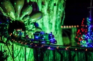 Christmas Train with lights