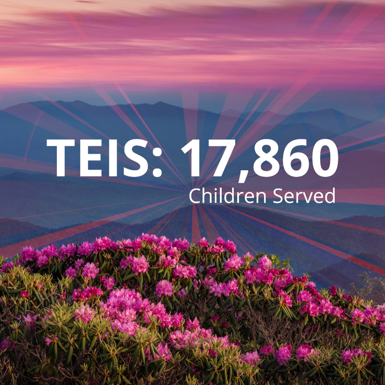DIDD_2022_teis DIDD_2022_teis