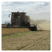 Row Crops