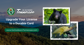 TOP FIVE REASONS TO PURCHASE YOUR HUNT/FISH COMBO LICENSE /content/dam/tn/twra/images/blog/hard-card-2020.png