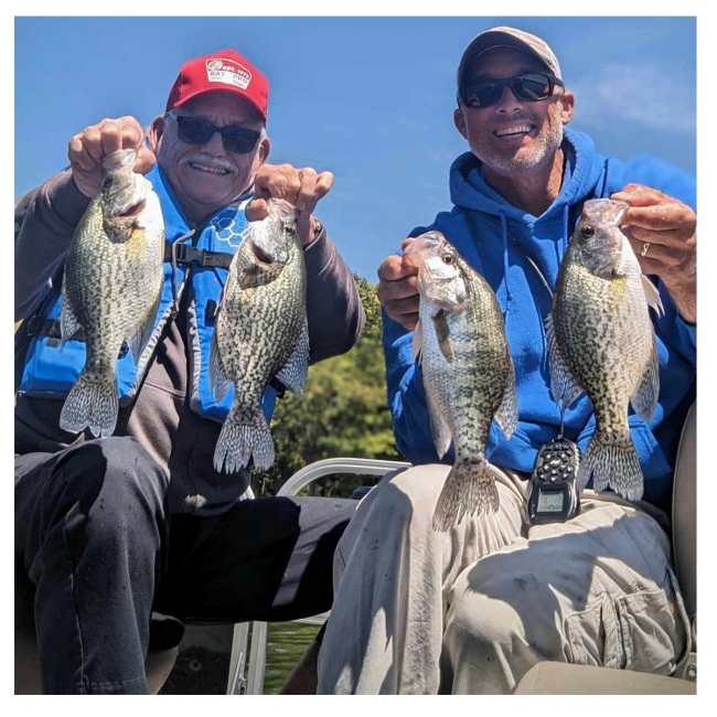 Percy Priest Tennessee, Crappie Catch, August 2024