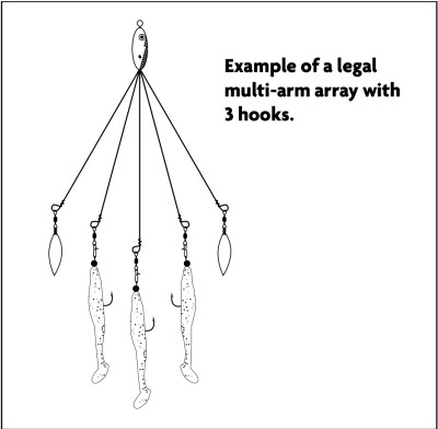 Multi-arm Array