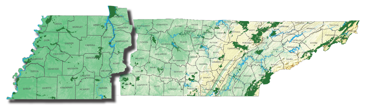 West Tennessee Region 1