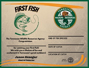 First Fish Award Example Image