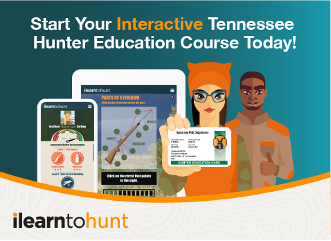 TN_Interactive_Banner