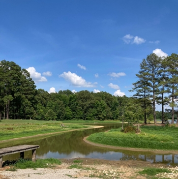 Herb Parsons Lake
