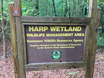 Harp Wetland