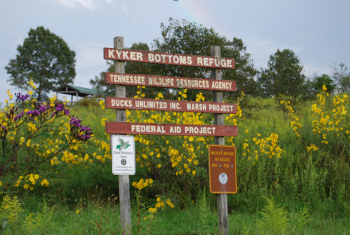 Kyker Bottoms Refuge WMA