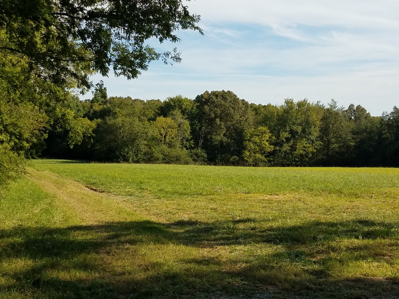 Owl Hollow Mill WMA