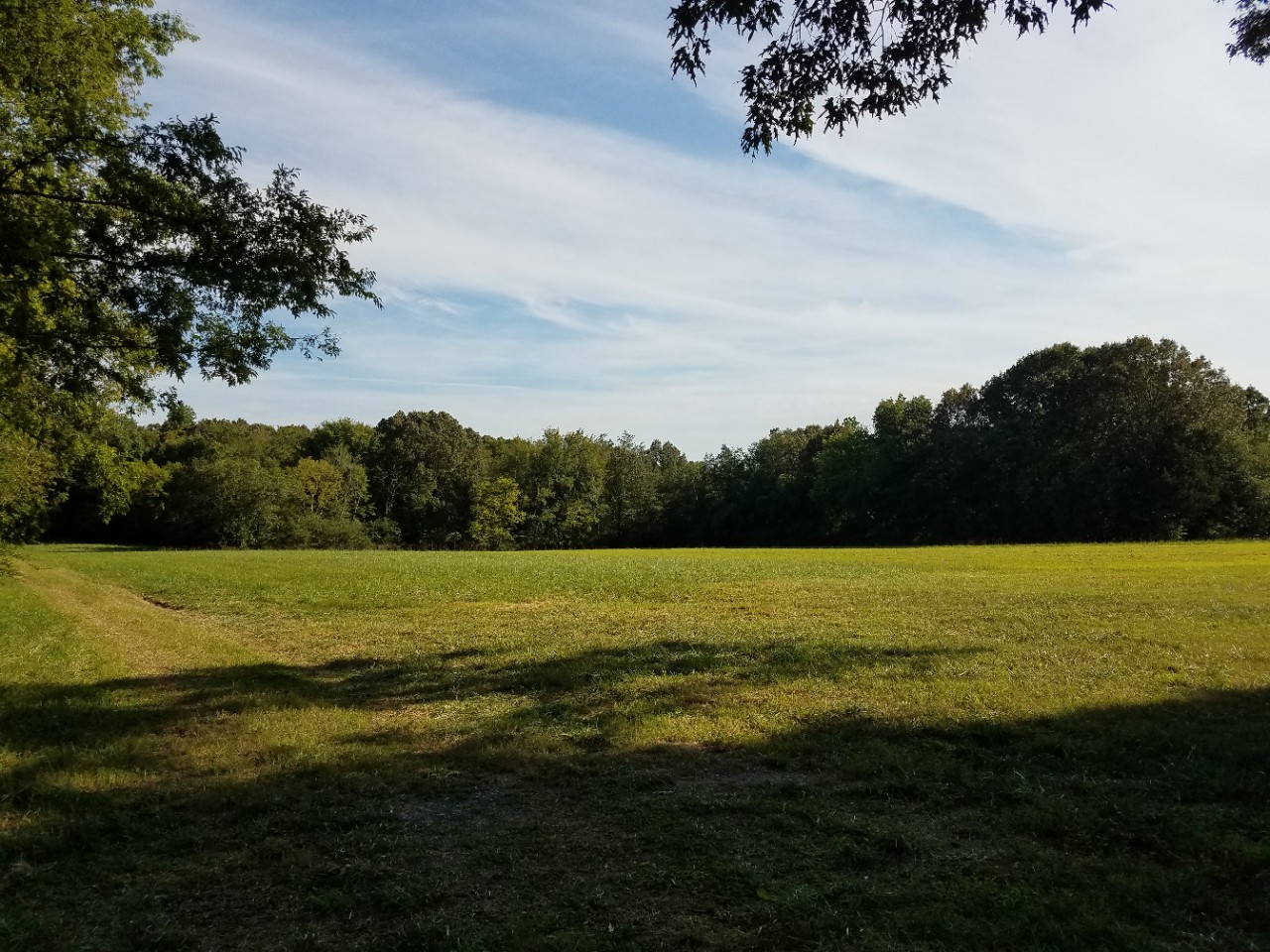 Owl Hollow Mill WMA
