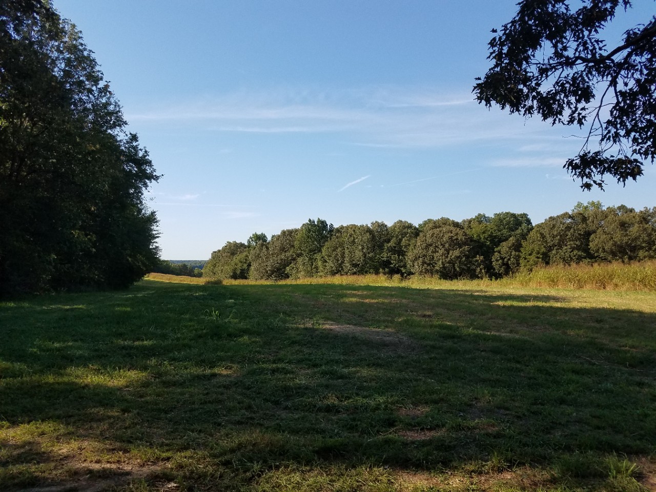 Owl Hollow Mill WMA