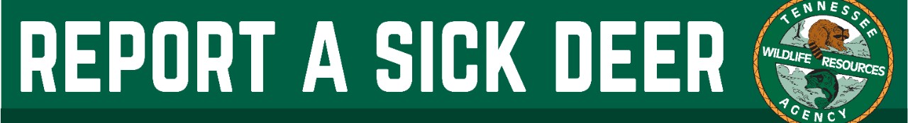 Report a sick deer here. Report a sick deer here.