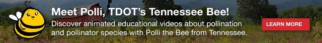 Learn about Pollinators Learn about Pollinators