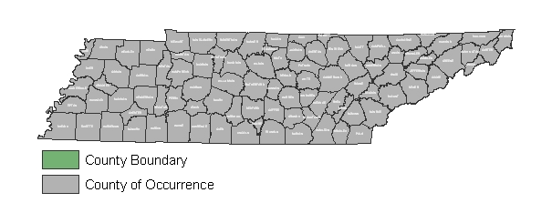 little-brown-bat-rangemap