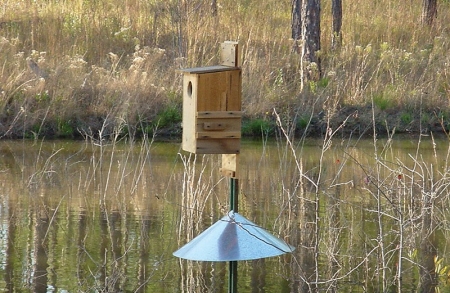 Wood-Duck-box-003 Wood-Duck-box-003